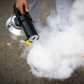 После дезинфекции или дезинсекции